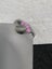 Loading Image 1 of 1