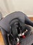 Osprey Poco child carrier - like new! Carousel 4