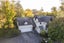 gallery view thumbnail