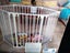 Child/Pet Playpen/Barrier Carousel 3