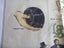 Vintage History Of Bowling MINT Linen Teatowel Carousel 6