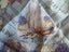 NZ Kiwiana Pure Silk Hankerchief Divine Black Marlin Maps Geysers and MORE! Carousel 6