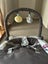 Neeva Baby Rocker/Bouncer Carousel 12