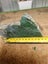Greenstone Pieces X 2 Carousel 3