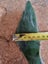 Greenstone Pieces X 2 Carousel 7