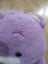 2012 share bear carebear Carousel 2