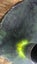 Genuine NZ Pounamu/Greenstone Rough Block Carousel 1