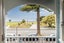 gallery view thumbnail