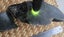 Genuine NZ Pounamu/Greenstone Rough Block Carousel 2