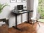 Standing Desk Carousel 1