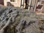 New Single Dark Green Real NZ Possum Full Fur Throw - No Reserve! - B6370 Carousel 3