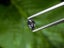 $1 RES * Buy Now $1,450.00 * 0.47ct Pear VS UNEATED Purple SAPPHIRE Gemstone Carousel 11
