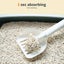 Pawz 2.5kg Tofu Cat Litter Clumping Flushable Fast Super Absorben Natural x1 Carousel 5