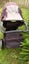 Phil and Ted's Pram with toddler seat Carousel 4