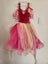 Princess Dress Good Condition Carousel 2