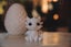 Baby Dragon and Egg (Golden Dragon Promotion!) Carousel 3