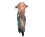 Loading Image 1 of 6