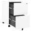 vidaXL Mobile File Cabinet White 39x45x67 cm Steel Carousel 5