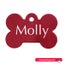 Pet Name Tag - "Molly" - Red Bone Carousel 1