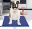 PTN NEW Large Pet Heating Pad Sale Sale Carousel 8
