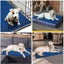 PTN NEW Large Pet Heating Pad Sale Sale Carousel 9