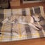Maya - Collie X - BOI Animal Rescue Trust Carousel 4