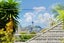 gallery view thumbnail