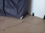 Co-sleeper Cot Carousel 6