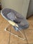 Babywise bouncer Carousel 1