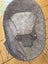 Babywise bouncer Carousel 2