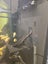 400l Fish tank with fish Carousel 10