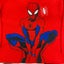 Marvel Spider-Man Boys 2 Piece Clothing Set SIZE - 7 Carousel 2