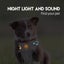 Waterproof GPS Dog Cat Pet Finder Tracker GSM Locator Collar Tracking Alarm Carousel 13