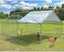 Chicken Run Chicken Coop Carousel 7