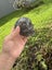 Beautiful Yooperlite Crystal Skull $1res Carousel 1