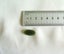 JEWELLERS ESTATE MUSEUM QUALITY ESTATE KAHURANGI GREENSTONE OVAL CABOCHON Carousel 3