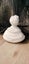 Voltaire Plaster Bust Carousel 4