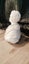 Voltaire Plaster Bust Carousel 3