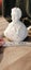 Voltaire Plaster Bust Carousel 8