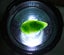 JEWELLERS ESTATE MUSEUM QUALITY ESTATE KAHURANGI GREENSTONE TEAR DROP CABOCHON Carousel 3