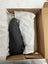 Loading Image 2 of 4