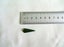 JEWELLERS ESTATE MUSEUM QUALITY ESTATE KAHURANGI SPEAR OR KITE SHAPE CABOCHON Carousel 3