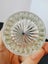 Vintage pressed glass creamer Carousel 5