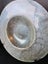 Small glass serving bowl Carousel 3