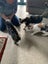 SUGAR,CINNAMON & NUTMEG - AVAILABLE FOR ADOPTION - PET WHISPERER RESCUE Carousel 6