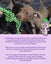 Auckland Puppy Rescue - SPIKE Carousel 4