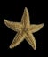 Loading Image 1 of 2