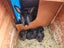Rabbit Carousel 1