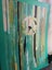 Inspire Peace Art Painting Original Abstract Acrylic for sale by artist Carousel 14