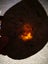Fuchsite in Marble carving slab MAY DEALS $1 reserve Carousel 9